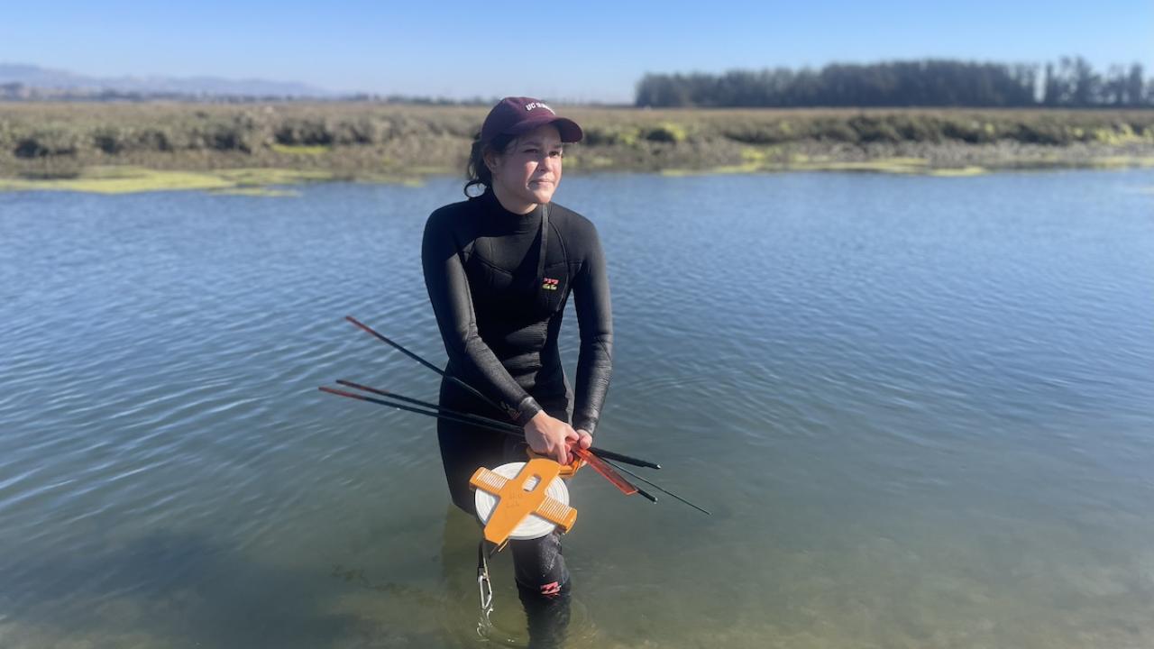 A scientist stands in the middle of the water